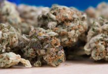 Ahora puedes comprar marihuana en máquinas expendedoras Ahora puedes comprar marihuana en máquinas expendedoras