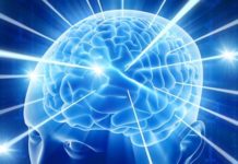 Estudio demuestra que el cannabis reduce varios síntomas del párkinson cerebro parkinson