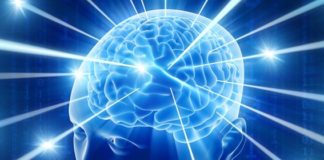 cerebro parkinson