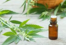 Argentina: El pa&iacute;s permite la venta de cannabis en farmacias y el autocultivo.