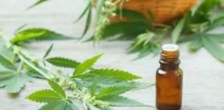 Argentina: El país permite la venta de cannabis en farmacias y el autocultivo. Argentina: El país permite la venta de cannabis en farmacias y el autocultivo.