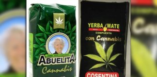 Uruguay se prepara para el lanzamiento de una yerba mate con cannabis