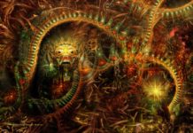 ¿De dónde vienen las visiones de la ayahuasca y de otros alucinógenos? ¿De dónde vienen las visiones de la ayahuasca y de otros alucinógenos?