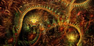 La ayahuasca en España