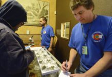 Por qué la industria del cannabis experimentó un crecimiento del empleo del 5.4% en 2023 en EEUU Por qué la industria del cannabis experimentó un crecimiento del empleo del 5.4% en 2023 en EEUU