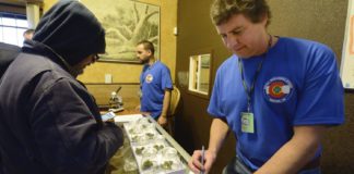Casi 500.000 personas trabajan en la industria legal de la marihuana, entonces, ¿cuántas personas más trabajan en el mercado ilícito?