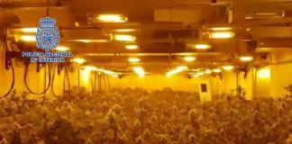 La Policía Nacional desmantela una plantación indoor de marihuana en una nave industrial en El Puerto de Santa María