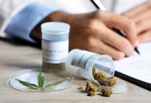 Una investigación describe qué médicos son más afines a recetar cannabis Una investigación describe qué médicos son más afines a recetar cannabis