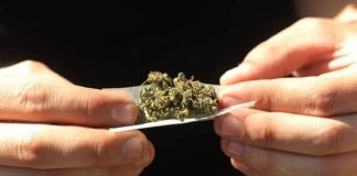 cannabis liando