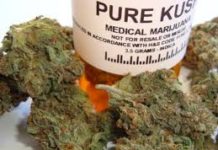 Cannabis para frenar el dolor Cannabis para frenar el dolor