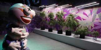 Abre museo de cannabis en Las Vegas, ideal para red social