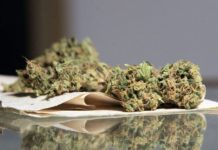 ¿Es legal el cannabis en Australia? ¿Es legal el cannabis en Australia?