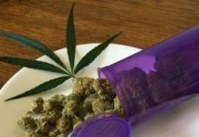 El Ejecutivo argentino promueve una ley para crear la industria del cannabis medicinal Por qué la legalización de la marihuana medicinal en Portugal es una magnífica noticia