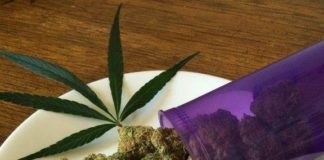 Por qué la legalización de la marihuana medicinal en Portugal es una magnífica noticia