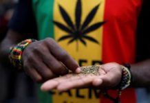 El confinamiento redujo el consumo de drogas en España un 71,9 % El confinamiento redujo el consumo de drogas en España un 71,9 %