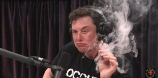 Tesla se hunde en Bolsa tras una entrevista de Elon Musk fumando un porro Tesla se hunde en Bolsa tras una entrevista de Elon Musk fumando un porro