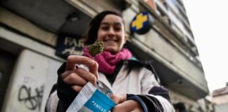 Alemania, interesada en el experimento social uruguayo con el cannabis