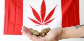 canada 620x330