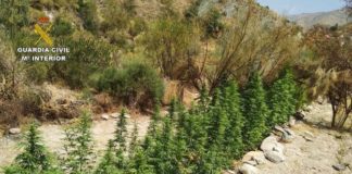 Vuelven a detener al pastor que &lsquo;reforest&oacute;&rsquo; con &lsquo;mar&iacute;a&rsquo; una zona serrana calcinada en L&uacute;jar