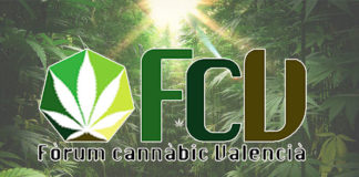 Jornadas en la universitat de valencia “Cannabis desde un enfoque integral”