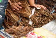 El gigante del tabaco Altria está asegurando tecnología en una nueva frontera: la marihuana El gigante del tabaco Altria está asegurando tecnología en una nueva frontera: la marihuana