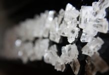 La terapia con MDMA entre los diez avances científicos del año MDMA