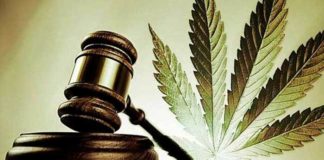 ¿Es el Cannabis legal en España?