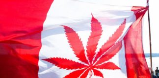 Mercado legal del cannabis en Canadá necesita al menos dos años para estabilizarse