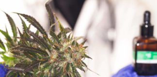 El CBD, un gran aliado para calmar la ansiedad