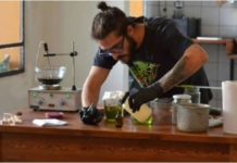 México: Encarcelan a activista por enseñar a elaborar aceite de marihuana México: Encarcelan a activista por enseñar a elaborar aceite de marihuana