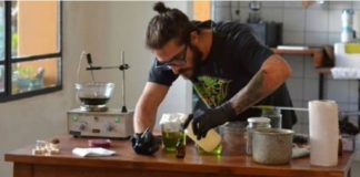 México: Encarcelan a activista por enseñar a elaborar aceite de marihuana