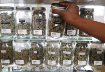 Nueva York cierra más de 500 tiendas ilegales de cannabis Un farmaceuta alcanza un frasco de cannabis para un paciente recetado en Utopia Gardens, un dispensario de marihuana medicinal en Detroit, Michigan.