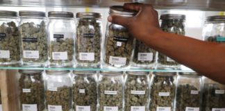 Un farmaceuta alcanza un frasco de cannabis para un paciente recetado en Utopia Gardens, un dispensario de marihuana medicinal en Detroit, Michigan.