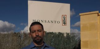 El Observatorio Europeo del Cannabis denuncia falta de transparencia y prácticas de monopolio en la concesión de licencias del sector