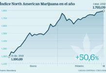 La burbuja bursátil del cannabis no despega aún en Europa La burbuja bursátil del cannabisno despega aún en Europa