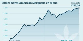La burbuja bursátil del cannabisno despega aún en Europa