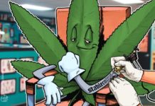 Proyecto de ley de California legalizaría el cripto para el pago de impuestos de negocios relacionados con cannabis Proyecto de ley de California legalizaría el cripto para el pago de impuestos de negocios relacionados con cannabis