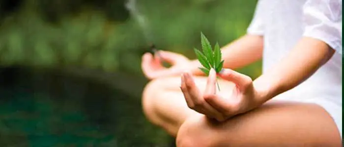 En cultivo en suelo las deficiencias de f&oacute;sforo surgen por la rapidez con que este elemento aportado en el riego se torna insoluble. Para mantenerlo en formas m&aacute;s asimilables hay que conservar en lo posible unos valores de pH &oacute;ptimos.