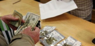 Se esperan eliminar restricciones que posibiliten la apertura al mercado de la marihuana(AP)