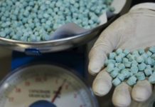 Detienen a un profesor por enseñar a sus alumnos a hacer pastillas de éxtasis Pastillas de éxtasis