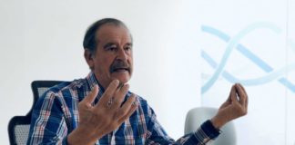 Así es como Fox quiere liderar el mercado de cannabis en México