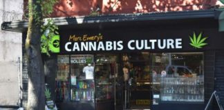 Canadá abre las primeras tiendas minoristas de cannabis recreativa