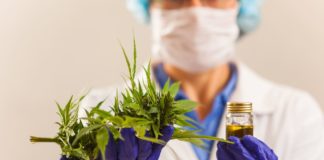 El CBD como potencial tratamiento para el cáncer de pulmón