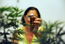 Cannabis puede ser efectivo para el tratamiento de la migraña según un pequeño estudio Silvia usa cannabis para combatir las patologías le generan dolor en piernas y brazos y que le dificultan desplazarse: produce aceite, crema y tintura. // Lucía Merle