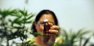 Silvia usa cannabis para combatir las patologías le generan dolor en piernas y brazos y que le dificultan desplazarse: produce aceite, crema y tintura. // Lucía Merle