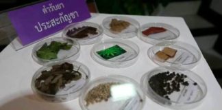 Tailandia investiga el uso de la marihuana contra el cáncer de pulmón