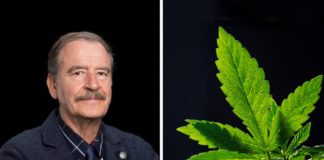 Vicente Fox