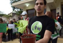 Mamá Cultiva regalará 1.000 plantines de cannabis en serenata a las madres Mamá Cultiva regalará 1.000 plantines de cannabis en serenata a las madres