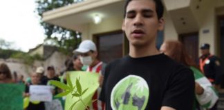 Mamá Cultiva regalará 1.000 plantines de cannabis en serenata a las madres