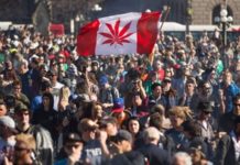 Canadá: la legalización de marihuana generó un aumento del número de consumidores 134049_1557071741.jpg